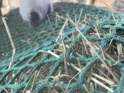 Rundballen Pferdeheu 1. Schnitt