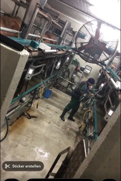 Melkstand 6er Autotandem GEA, inkl. Transponder