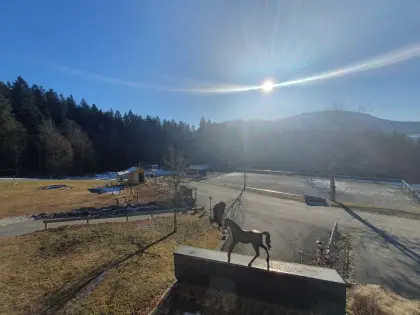 Selbstversorger-Einstellplatz für Wallache