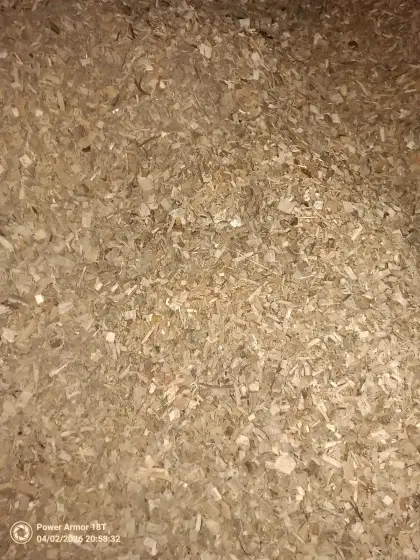 Hackgut G30 trocken 60% Buche/Eiche Fichte