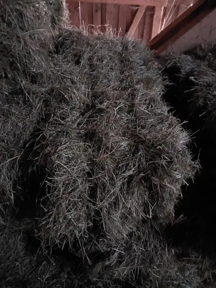 Grumetheu (2. Schnitt 2025) unberegnet zu verkaufen