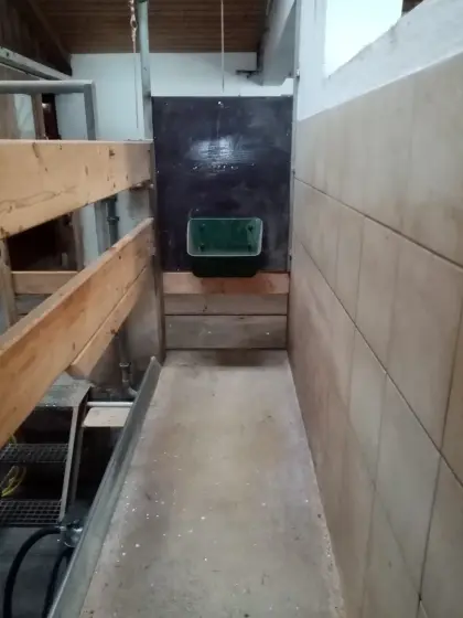 Melkstand 2x2 Tandem