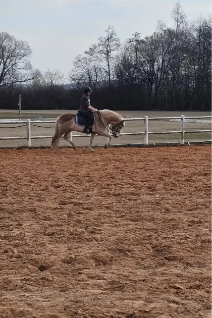 Mitreitgelegenheit gesucht