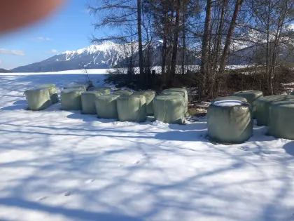 Siloballen 1. und 2. Schnitt