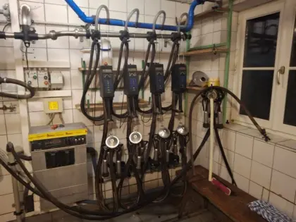 Suche Milkmaster Melkzeug