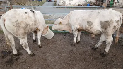 Bio Einsteller/Fresser