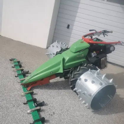 Rapid Brielmaier Reform Ibex Aebi Reform Vogel Noot