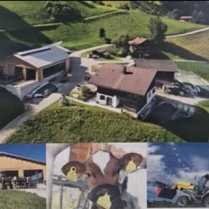 Suche Praktikant/in für Sommer 2026