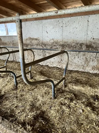 Liegeboxen Trennbügel