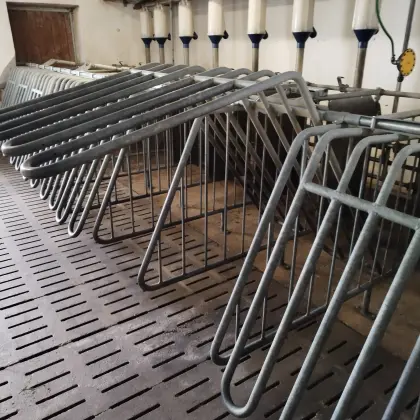 Schauer Selbstfangbuchten, Selbstfangkastenstand