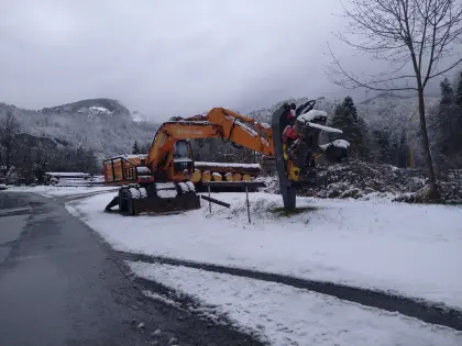 Radbagger Doosan mit Woody H60 + Zs
