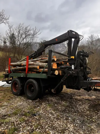 Kranwagen Eigenbau Rückewagen