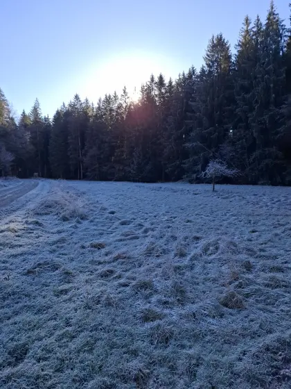 Heurundballen 2. Schnitt