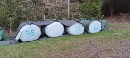 Gärheuballen, Siloballen, Futter für Rinder