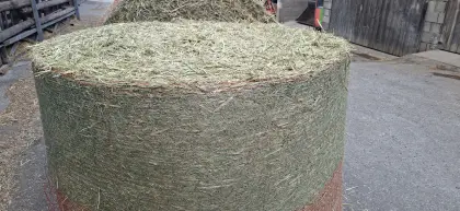 Häckselstroh Roggen