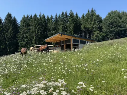 ? Pferde-Einstellplatz in traumhafter Natur ?