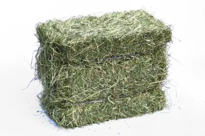 Heu Kleinballen