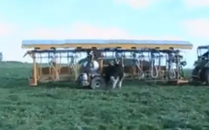 Suche mobiler Melkwagen Bottin