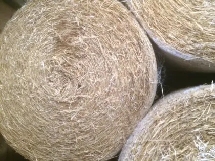 Bio Austria Luzernesamen, Stroh