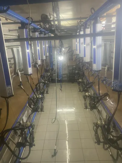 Delaval Melkstand