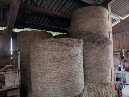 Verkaufe Rinder-, Pferdeheu