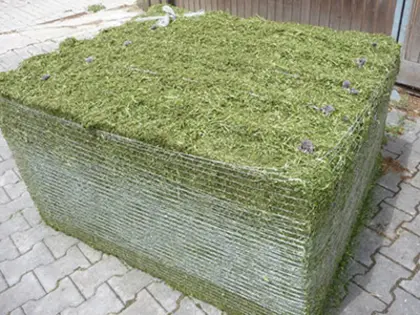 Verkaufe 2 Stk. heißbelüftete Ballen.