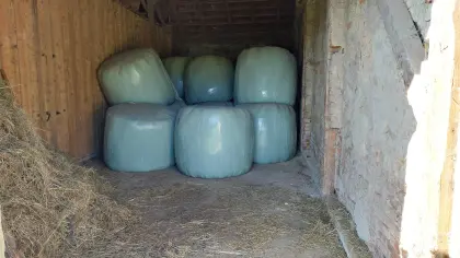 Silageballen und Heuballen