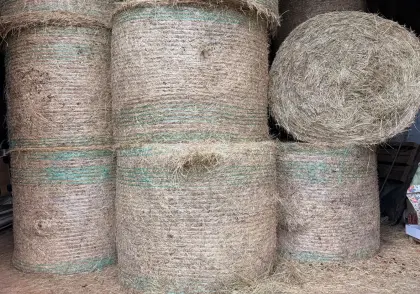 Heu Bio Rundballen