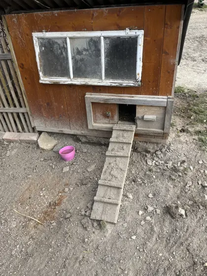 Kleintierstall, Hühnerstall