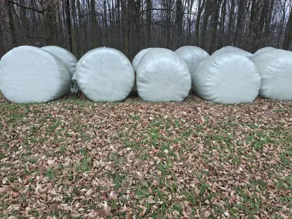 Verkaufe 10 Stk. Grassilageballen