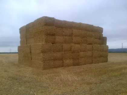 Traktorfahrer(in) & Allroundhandwerker(in) (m/w/d)