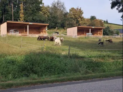 Einstellplatz am Pferdehof Kulmland