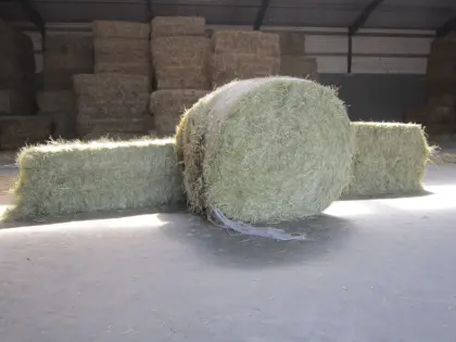 Verkaufe Heu (Zweiter Schnitt / 2. Schnitt / Grummet)