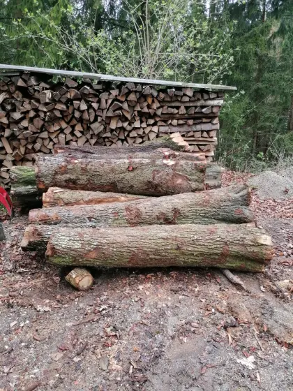 Verkaufe 6 Stk. Birnenholz