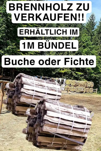 Brennholz im 1 m Bund