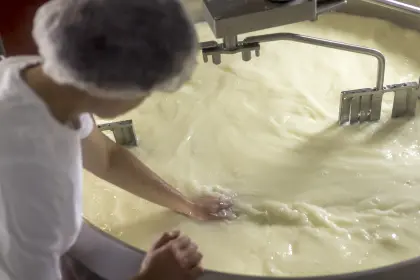 Käser/Käserin für unsere Hofkäserei gesucht