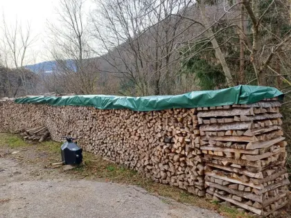 Brennholz Esche/Buche