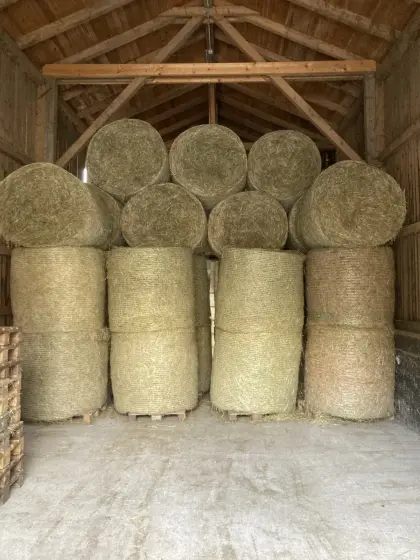 Verkaufe Bio Heurundballen