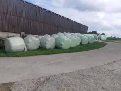 Silageballen
