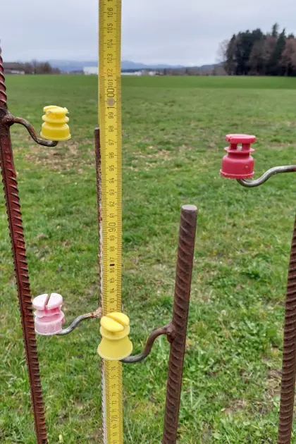 Weidezaun, Weidezaunpfähle