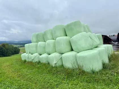 Grünschnittroggen Silage 2025