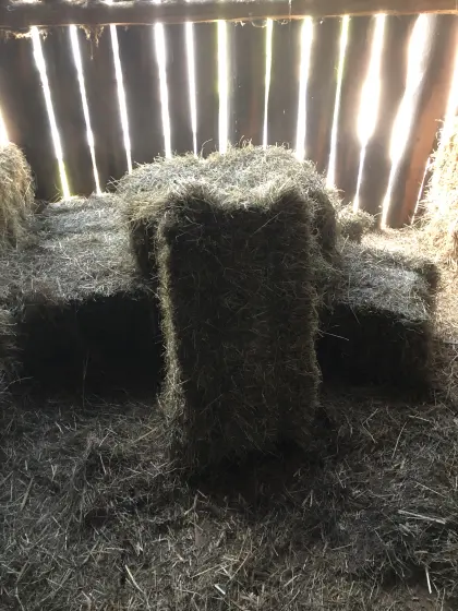 Kleinballen (Grummet)