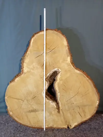 Jumbo Eichenplatte Tisch