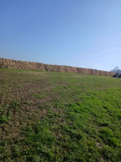 Brennholz zu verkaufen