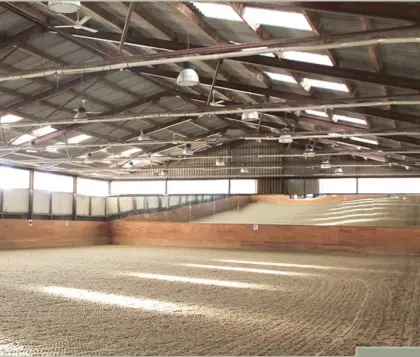 All inkl. Stall nur 5 Minuten von Wien