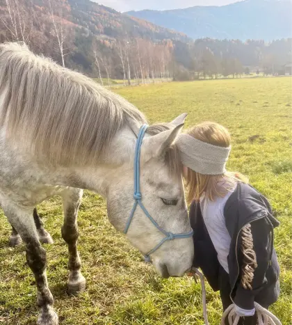 Deutscher Reitpony-Wallach