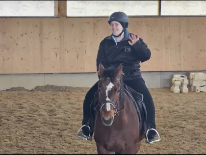 Suche älteres Lehr-/Verlasspferd