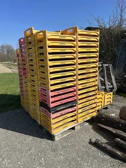 Anzuchtkisten 66x44x12