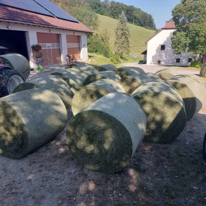 Heuballen zu verkaufen