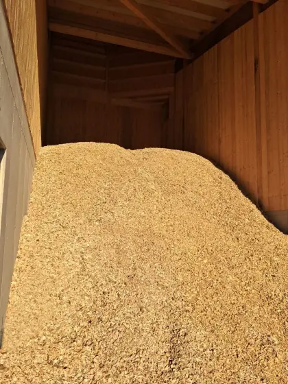 Technisch getrocknetes Waldhackgut